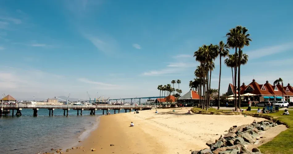 Best Beaches in San Diego: Stunning Coastal Spots You Must Visit