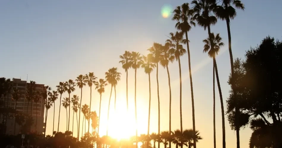 Ultimate San Diego Travel Guide: Top Attractions, Local Food & Travel Tips