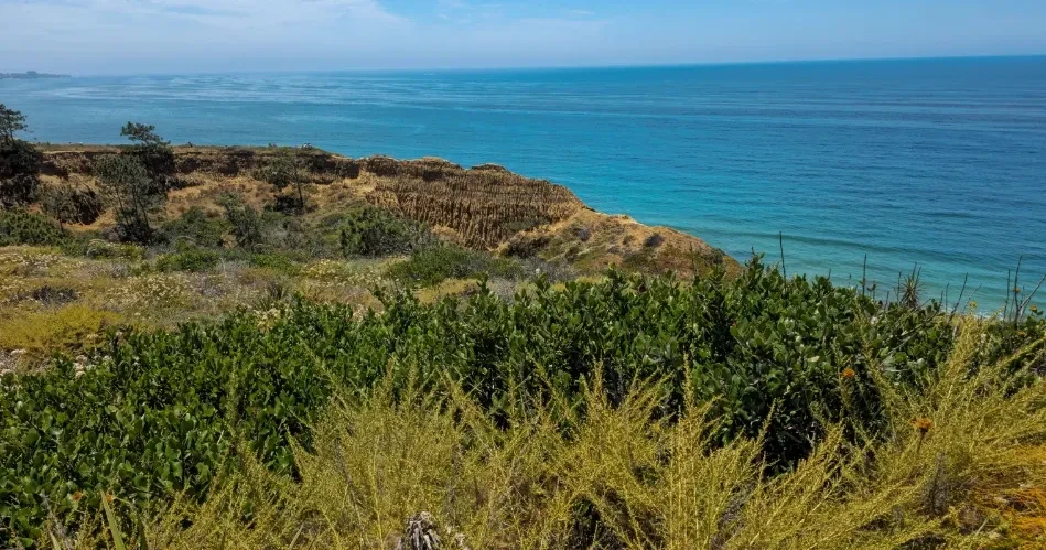Unforgettable Things to Do in San Diego: Top Attractions & Experiences
